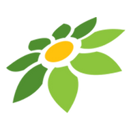 MOD APK CANVA